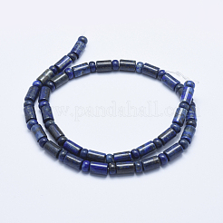 Natural Lapis Lazuli Beads Strands&nbsp;G-E444-24