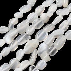 Natural White Moonstone Beads Strands&nbsp;G-P601-A18-02