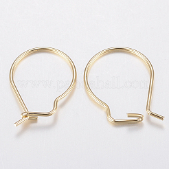 304 Stainless Steel Hoop Earring Findings&nbsp;X-STAS-H436-02