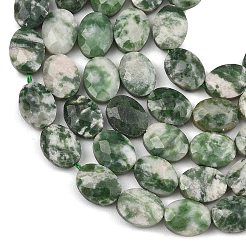 Natural Green Spot Jasper Beads Strands&nbsp;G-H349-A01-20