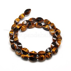 Natural Twist Tiger Eye Beads Strands&nbsp;G-L243B-04