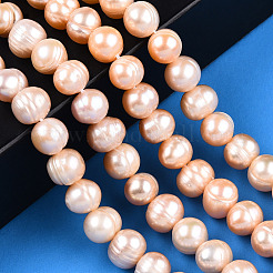 Natural Cultured Freshwater Pearl Beads Strands&nbsp;PEAR-N013-07L
