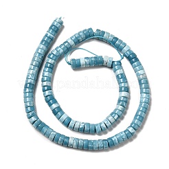 Natural Gemstone Beads Strands&nbsp;G-F730-03B