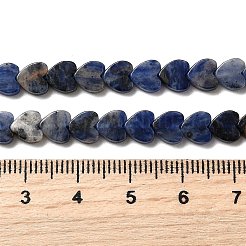 Natural Sodalite Beads Strands&nbsp;G-A272-A01-31