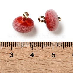 Alloy & Flocky Charms&nbsp;FIND-Z121-04G-01