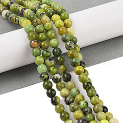 Natural Serpentine Beads Strands&nbsp;X-G-G829-06-4mm