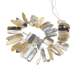 Natural Botswana Agate Beads Strands&nbsp;G-R419-20