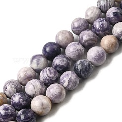 Natural Purple Stripe Jasper Beads Strands&nbsp;G-K350-C03-8mm