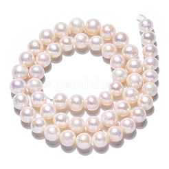 Natural Cultured Freshwater Pearl Beads Strands&nbsp;PEAR-N016-07A