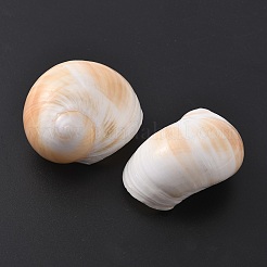 Natural Shell Beads&nbsp;BSHE-WH0004-08