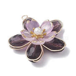 Glass Pendants&nbsp;PALLOY-TA00319-01