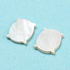 Natural Sea Shell Cabochons&nbsp;SHEL-D079-08