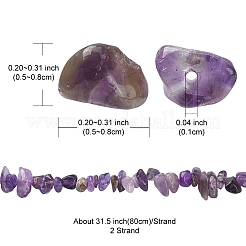 Natural Amethyst Chip Beads Strands&nbsp;G-YW0002-09