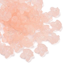 Frosted Transparent Acrylic Beads&nbsp;X1-OACR-P029-18B-02