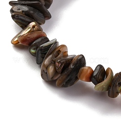 Natural Paua Shell Beads Strands&nbsp;BSHE-B007-05