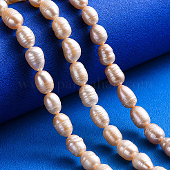 Natural Cultured Freshwater Pearl Beads Strands&nbsp;PEAR-N012-07G