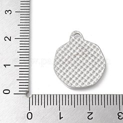 304 Stainless Steel Pendants&nbsp;STAS-I330-023P
