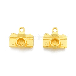 Alloy Pendants&nbsp;FIND-A017-12MG