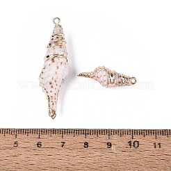 Electroplate Natural Sea Shell Pendants&nbsp;SSHEL-Q100-08KCG