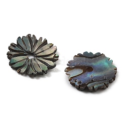Natural Paua Shell Carved Beads&nbsp;SSHEL-Z002-04