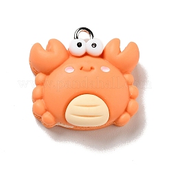 Opaque Resin Pendants&nbsp;LS-X-RESI-G043-E04-B