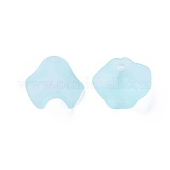 Transparent Acrylic Beads&nbsp;MACR-S373-106-D04