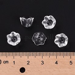 Transparent Clear Acrylic Beads&nbsp;PL548-1