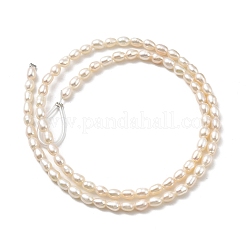 Natural Cultured Freshwater Pearl Beads Strands&nbsp;PEAR-I007-01O-01E