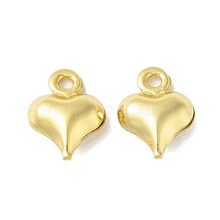 Rack Plating Brass Pendants&nbsp;KK-B053-27G