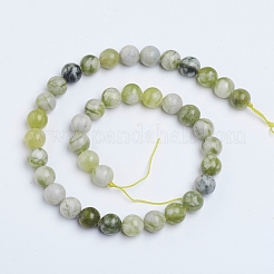 Natural Qinghua Jade Beads Strands&nbsp;G-G818-01-10mm