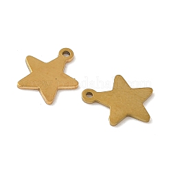 304 Stainless Steel Charms&nbsp;STAS-K306-15C-G