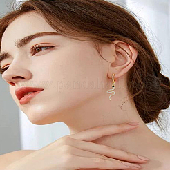2Pcs Brass Micro Pave Cubic Zirconia Pendants&nbsp;KK-LP0004-06
