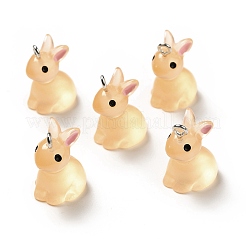 Luminous Translucent Resin Pendants&nbsp;X-RESI-A017-04