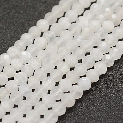 Natural Rainbow Moonstone Beads Strands&nbsp;G-F596-14-4mm