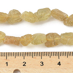 Raw Rough Natural Yellow Apatite Beads Strands&nbsp;G-M453-C10