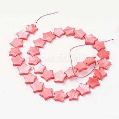 Natural Freshwater Shell Beads Strands&nbsp;BSHE-L036-41M