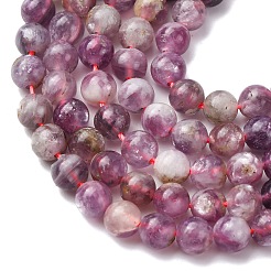 Natural Lepidolite/Purple Mica Stone Beads Strands&nbsp;G-B133-A01-6MM