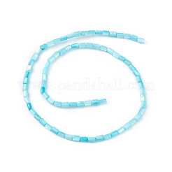 Natural Freshwater Shell Dyed Beads Strands&nbsp;SHEL-M018-12-05