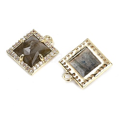 Natural Labradorite Faceted Square Charms&nbsp;G-I375-06G-08