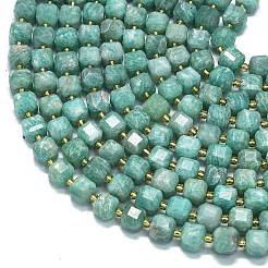 Natural Amazonite Beads Strands&nbsp;G-K389-A47-01