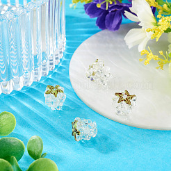 4Pcs Handmade Lampwork Beads&nbsp;LAMP-TA0002-24D