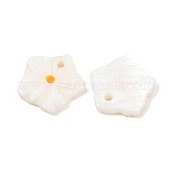 Natural Freshwater Shell Flower Charms&nbsp;SHEL-B005-02