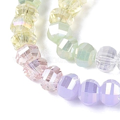Electroplate Mixed Styles Glass Beads Strands&nbsp;EGLA-N022-14A-A02