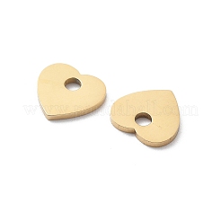 304 Stainless Steel Charms&nbsp;STAS-M111-14G-02