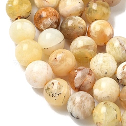 Natural Yellow Opal Beads Strands&nbsp;G-I213-18-8mm
