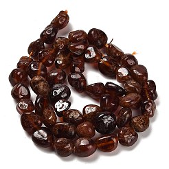 Natural Garnet Beads Strands&nbsp;G-P497-01E-70