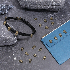 50Pcs Skull Alloy Rivets&nbsp;FIND-PH0062-01B