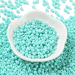 Baking Paint Glass Seed Beads&nbsp;SEED-H002-I-A525