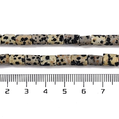 Natural Dalmatian Jasper Beads Strands&nbsp;G-C128-A18-01
