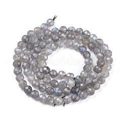 Natural Labradorite Beads Strands&nbsp;X-G-R475-025C